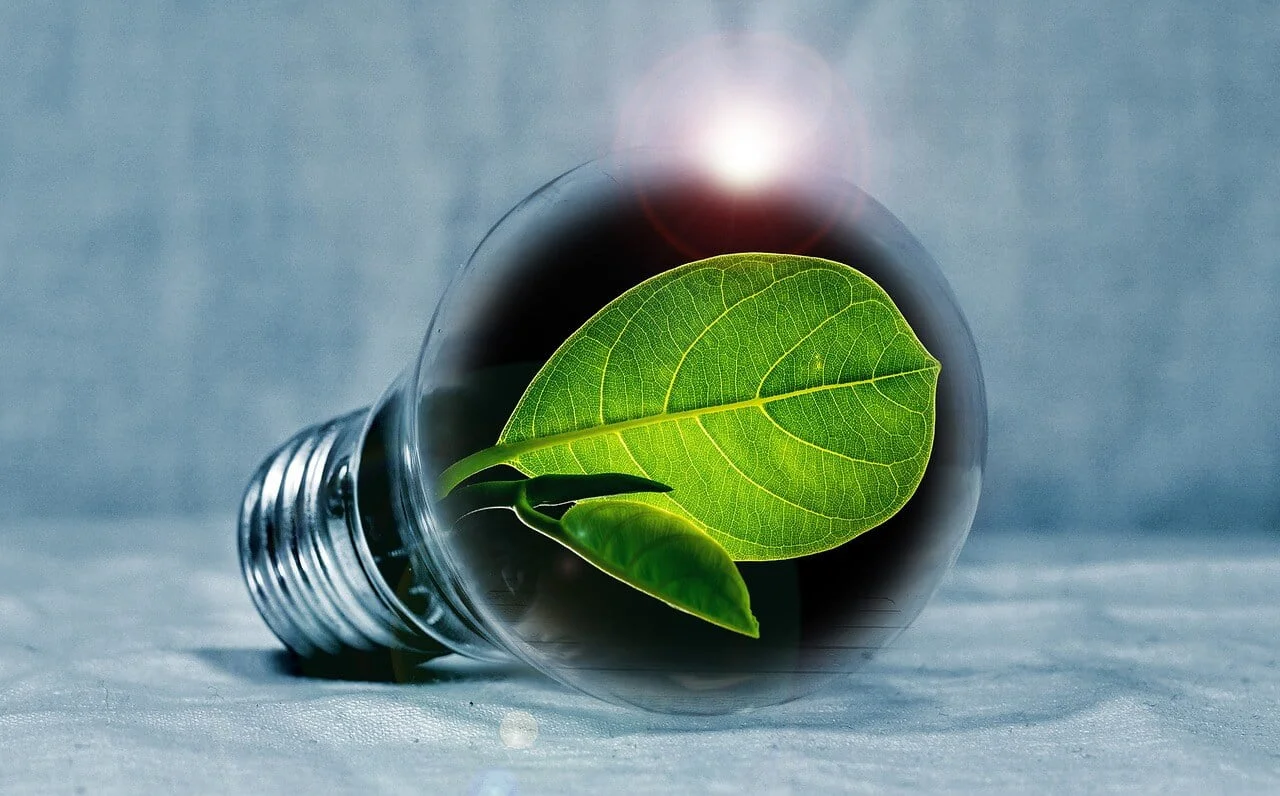 Infraroodverwarming: een energiezuinige en comfortabele oplossing voor het verwarmen van jouw huis