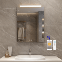 Infrarood spiegelpaneel – Palermo LED – 80 × 60 cm – 500 watt